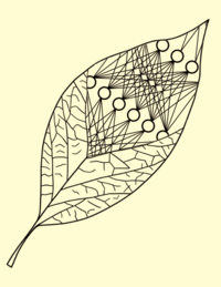 the name richie montes lemus with a logo