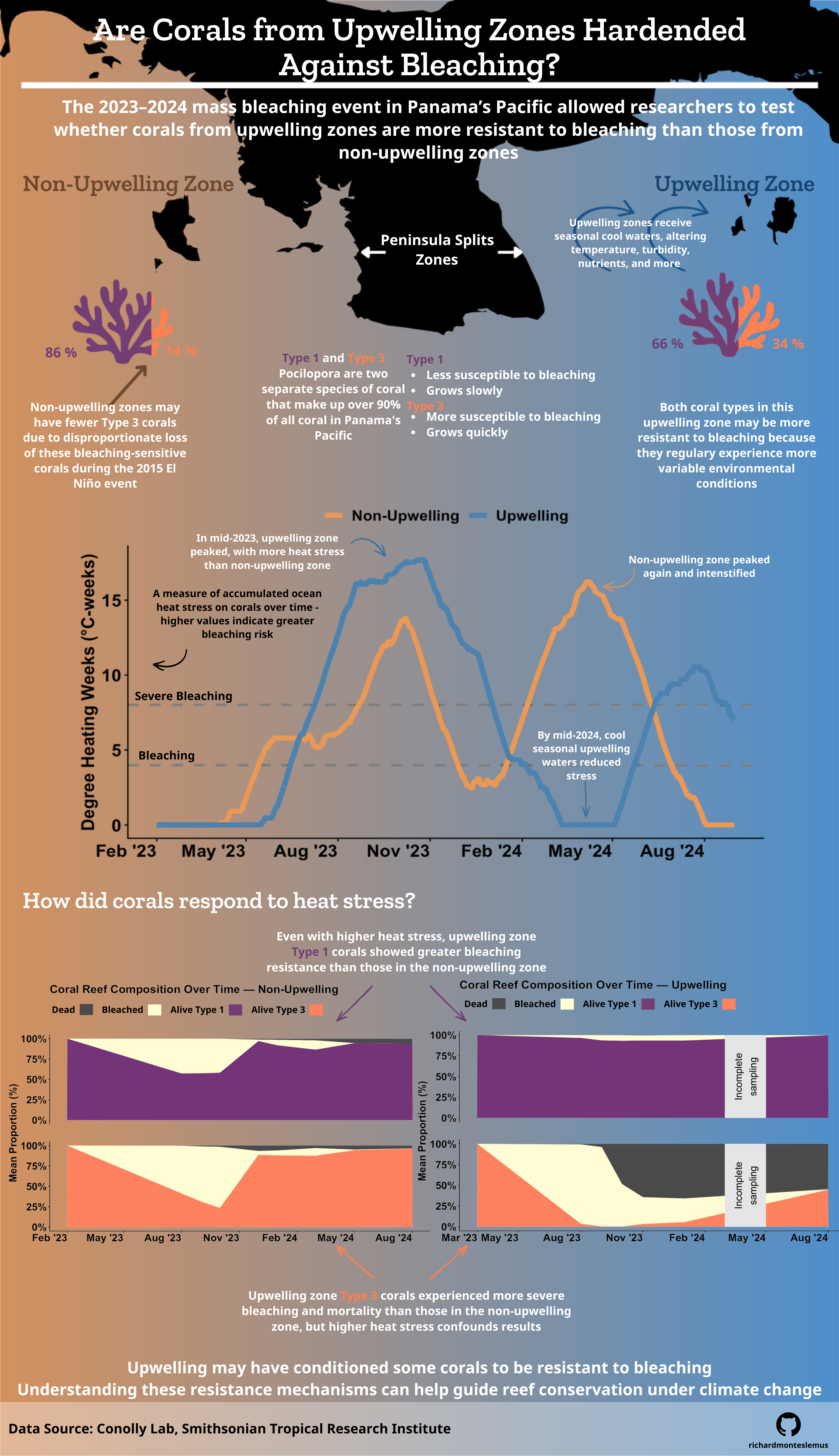 An infographic titled Are Corals from Upwelling Zones Hardended Against Bleaching? There is a map of Panama's coast showing the non-upwelling region in orange and the upwelling region in blue. For plots, there are two coral images in each upwelling regime filled in based on coral species proportion, a line graph showing degree heating weeks differences between regimes, and a stacked area chart showing coral bleaching, recovery, and death differences between regimes